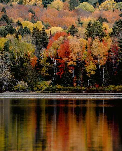 Ritual de Otoño – Connect